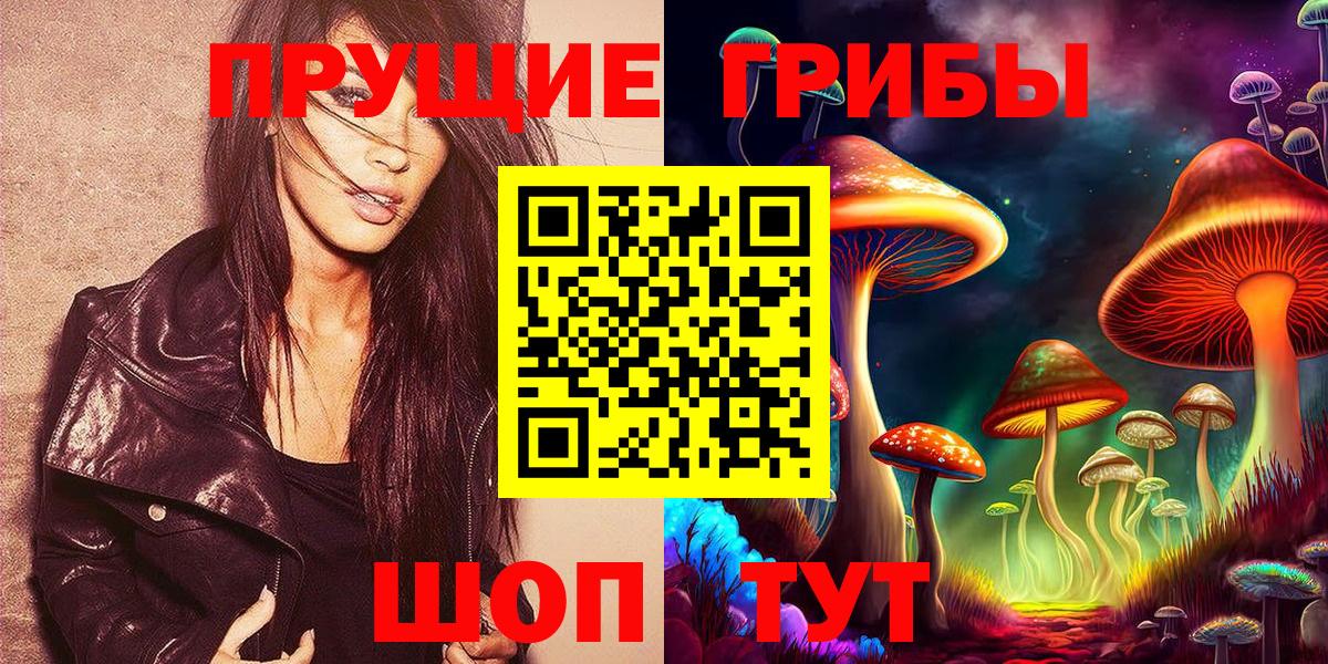 Фрязино  Псилоцибиновые грибы Psilocybine cubensis  Псилоцибиновые грибы MAGIC MUSHROOMS  Вход с VPN 